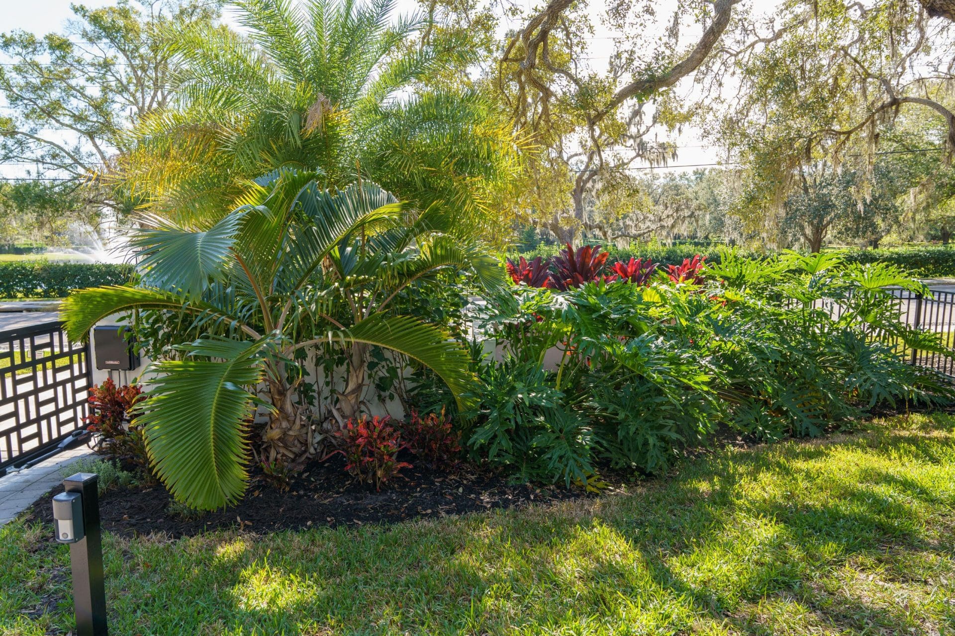 Dense garden landscape in Seminole, FL with palm trees and flowering shrubs